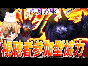 【白猫】苦行極まりない決戦上等!!視聴者参加型協力クエストやります！【白猫プロジェクト】