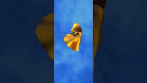 【#白猫】無料バンザイその11 #眠らぬ島の100億トライドル #トライドル #白猫プロジェクト