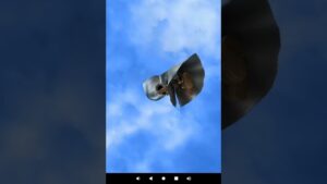 【白猫プロジェクト×呪術廻戦コラボ】今日の無料ガチャ #白猫プロジェクト #呪術廻戦 #呪術廻戦コラボ #ガチャ #無料ガチャ #shorts