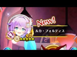 【白猫】双剣ルカ 決戦上等！十二月の陣 Lv.9999 ソロ（弱点なし hp60兆）