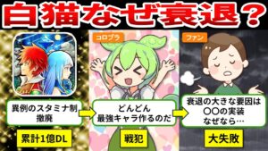 【白猫プロジェクト】1億ダウンロードを達成した白猫プロジェクトが衰退した真相【ゆっくり解説＆ずんだもん】