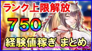 【白猫】ランク上限解放750が来るので経験値稼ぎの方法をまとめました（初心者さん向け）