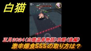 白猫　激辛爆食SSSの取り方は？　正月２０２４（白猫温泉物語）攻略（後半）　ガチャキャラ　ヘルモート(輝剣)ハルジオン(竜)セレナ(竜)シエラ(拳)　＃４７　【白猫プロジェクト】