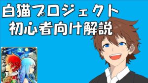 【白猫プロジェクト】初心者向け。白猫序盤解説。最初の石の集め方とか