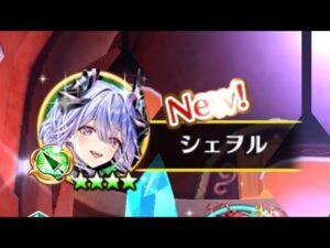 【白猫】 槍シェヲル ＜零＞の熾天 第二十階梯 ソロ