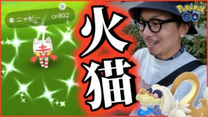 【ポケモンGO】白猫乱舞！１位個体も爆誕！？ニャビーのコミュデイでチーム松本集結そして燃え上がれ闘争心スペシャル！【DDラリアット】