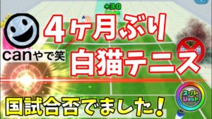 国家試験の合否でたから久しぶりに白猫テニスをする！