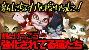 【白猫プロジェクト】5.0アップデート‼︎割とけっこうな頻度で強化されてる初期猫たちよ
