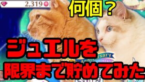 【白猫プロジェクト】ジュエルを限界まで貯めたら何個になるの？〈見えるけど見えないもの〉