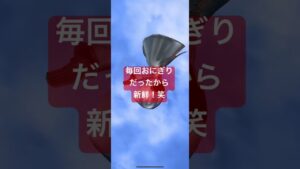 #白猫プロジェクト  #ガチャ　#無料